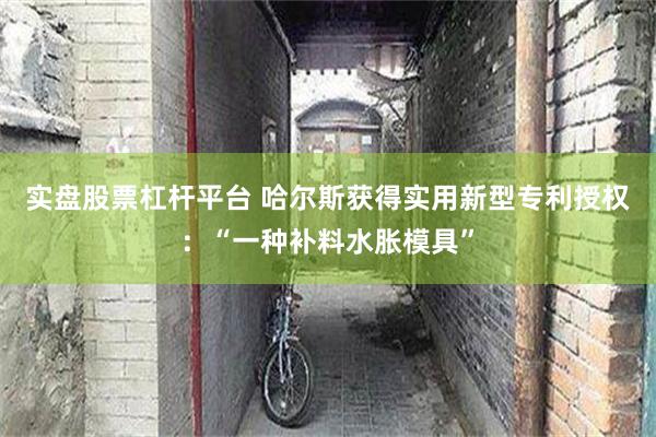 实盘股票杠杆平台 哈尔斯获得实用新型专利授权：“一种补料水胀模具”